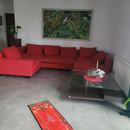Apartament Na Warszawskiej Gorzów Wielkopolski Exteriör bild