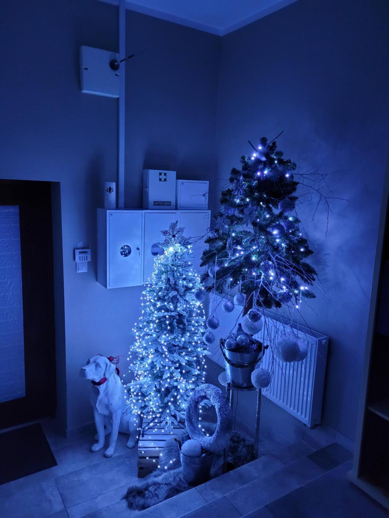 Apartament Na Warszawskiej Gorzów Wielkopolski Exteriör bild